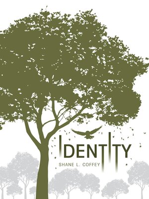 cover image of Identity